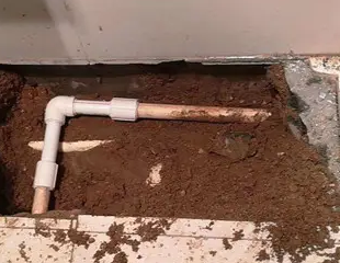 桂平测漏水哪家好