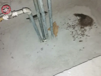 桂平卫生间测漏水价格明细