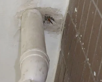 桂平漏水检测哪家好